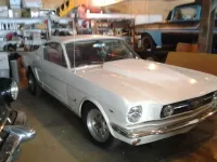 campstang_zps4d83e60f.webp