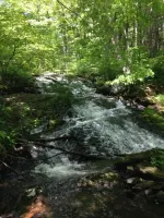 Mountainvista8_zps25c60016.webp