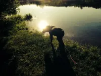 photo_7_zpsbb95f1a4.webp