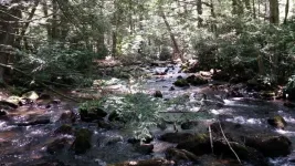 JimThorpeCamp010_zpsc68fbb20.webp