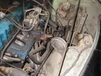 IMGP4790.webp