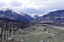 01roadintotheLaPlatas.webp