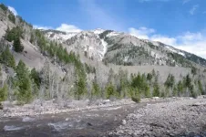 x124.webp