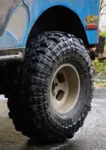 SuperSwamper9Medium.webp