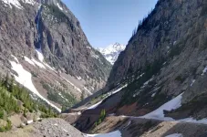 915_AnimasForksTrail.webp