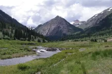 598Large.webp