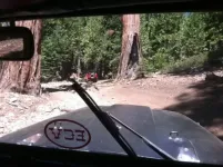 IH5.webp
