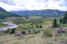 0094.webp