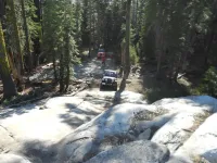 Jeepn34.webp