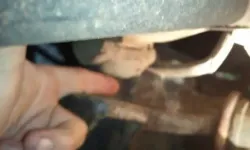 fingercenterbump.webp