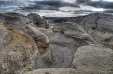 85And2more_tonemapped.webp