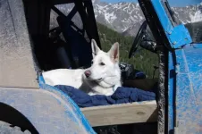 94KodainhisJeepseat_zps14baad2f.webp