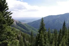 15ViewfromDeadwoodMt.webp