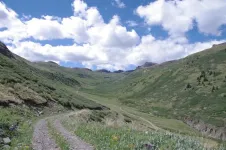 40MaggieGulch.webp