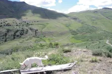 45MaggieGulch.webp