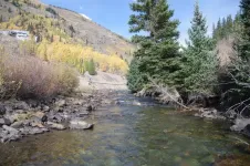 76AnimasRiver_zps5c911e47.webp
