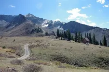 120.webp