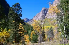 50CottonwoodValleysouthofHandiesPkLarge.webp