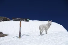 72KodaatCaliforniaPass_zpsee7c98fa.webp