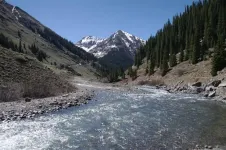 05NiagaraPeakandAnimasRiver_zpsef94ee8c.webp