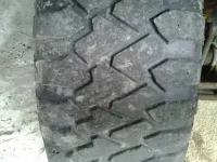 Laredomuds_zps02edd4f4.webp