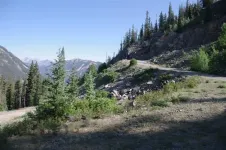 03KendalMttrail_zps53a916f9.webp