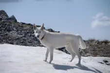 28KodaonthetopofKendalMt_zps504fd643.webp
