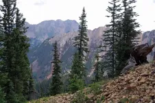 18LewisMtampBakerPeak_zps9d5c26cf.webp
