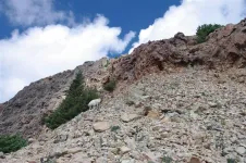 55ClimbingGibbsPeak_zps421bf2ea.webp