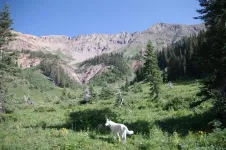 11SpillerPeak_zps7c547111.webp