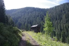 01mine_zps9c3fa760.webp