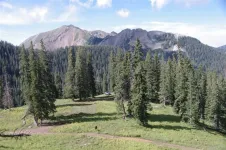 44_zps39ad57dd.webp
