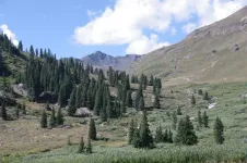 Day2-09PlacerGulch_zps2104d671.webp