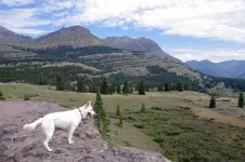 Silverton71MolasPass_zps269c4d16.webp