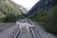 Silverton42railsouthofSilverton_zps8ab741d9.webp