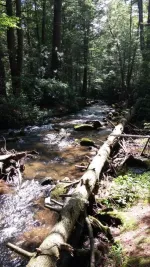 JimThorpeCamp018_zpsc551f490.webp