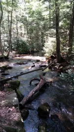 JimThorpeCamp003_zps5845cce2.webp