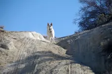 ChokeCherryCanyon48_zpsa3d470f0.webp