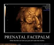 t5a8363_prenatal-facepalm_zps6bdb2315.webp