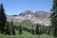 23SnowstormPeak2014_zps0b0b3c8f.webp