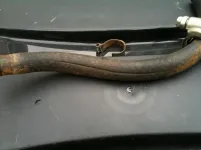 oldhose.webp