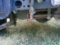 Jeep 6.webp