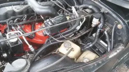 20140830_124855_zpse7f93f2d.webp