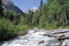 01CanyonCreek4_zps83a1ef75.webp