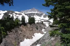 20_zpsa4c91391.webp