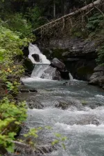 Day3-85CampBirdMine_zpse4836171.webp