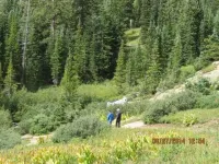 IMG_0338Small_zps13fec95b.webp