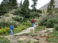 IMG_0347Small_zpsdb479dad.webp