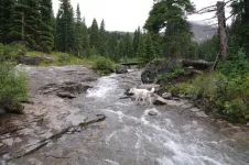 Day4-84ImogenePassTrail_zpse6be762c.webp