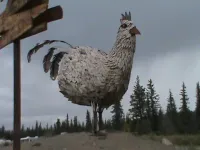 ChickenCommunitychicken.webp